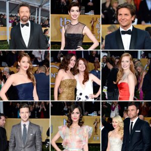 2013-SAG-Awards-Red-Carpet-Celebrity-Pictures
