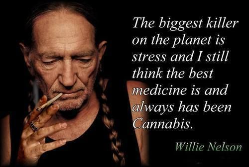 Willie-Nelson-weed-strain