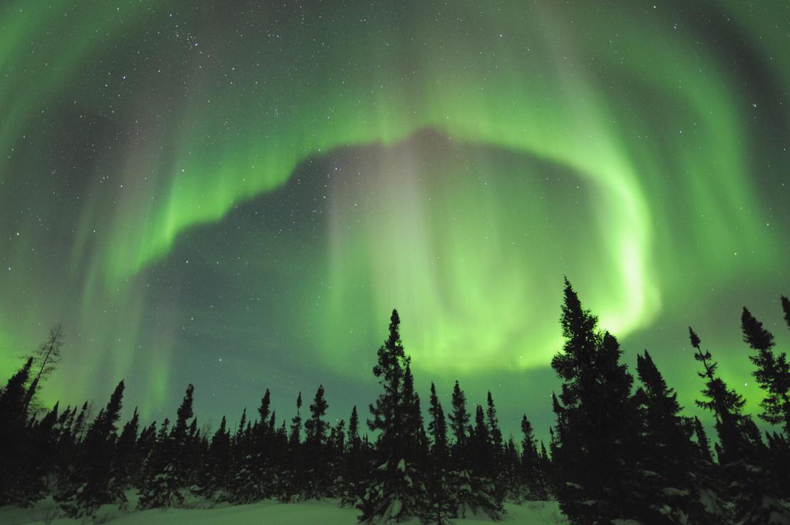 Skin Cancer and the 11 year&nbsp;Cycle