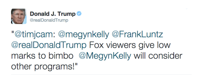 trump megyn kelly
