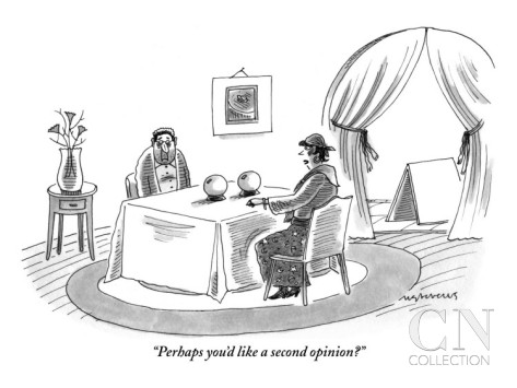mick-stevens-perhaps-you-d-like-a-second-opinion-new-yorker-cartoon